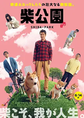 激情网在线
