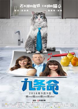 久久精品一区二区免费看