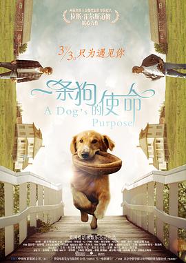色噜噜久久