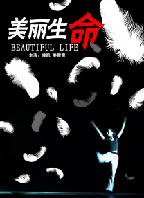 成人中文字幕在线观看