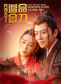 欧美爱视频
