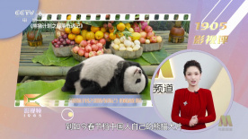 欧美午夜一区二区福利视频